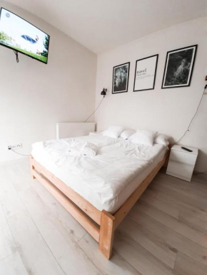 Apartament Kraków Arena No. 91